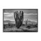 Stupell Industries Cactus Sunset in Monochrome Framed Giclee, design by Norm Stelfox
